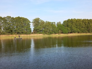 Angeln, Hecht, Barsch, Karpfen