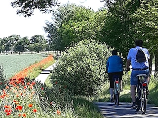 romantische Radtouren um den Plauer See