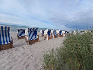 Ausflug nach Warnemünde, Rerik und Kühlungsborn