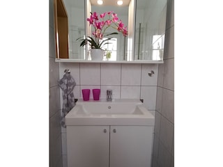 Gäste-WC im EG mit Spiegelschrank und Wand-WC