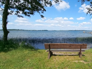 die Seele baumeln lassen