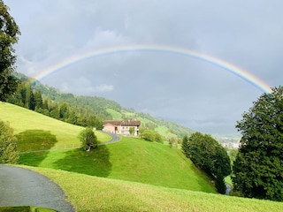 Auf Regen folgt doch Sonnenschein
