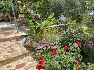 Ferienhaus Kastri Außenaufnahme 6