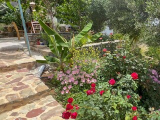 Maison de vacances Kastri Enregistrement extérieur 6