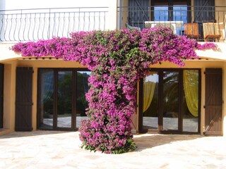 Blick von der großen Terrasse im Erdgeschoss