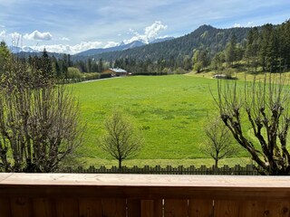 Balkonblick