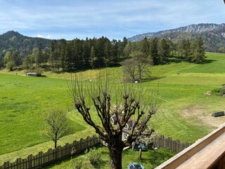 Naturblick Balkon