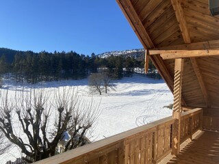 Naturblick Balkon Winter