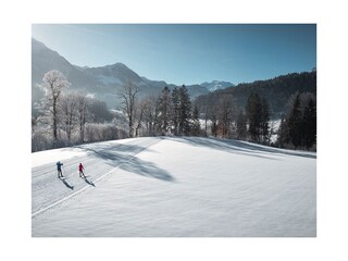 Langlaufloipe Aschauerweiher