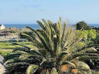 Villa Clohars-Carnoët Außenaufnahme 1