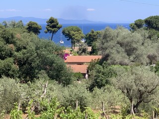 Blick von der Terrasse