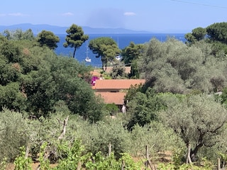 Holiday apartment Capoliveri Outdoor Recording 2