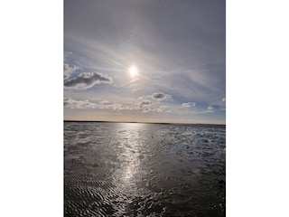 Wattenmeer