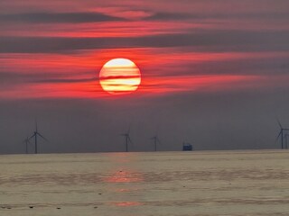 Beach Egmond aan Zee