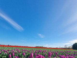 Appartamento per vacanze Egmond aan Zee Ambiente 30