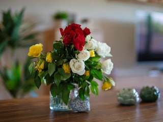 Ferienwohnung Boek Außenaufnahme 30