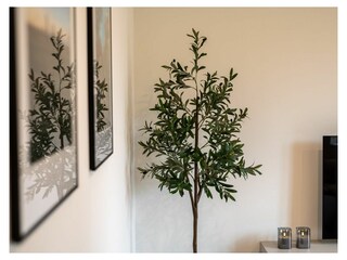 Ferienhaus Lake Residence Müritz