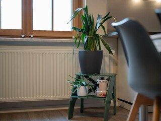 Ferienwohnung Rechlin Außenaufnahme 25