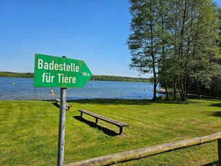 Hundestrand