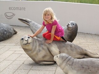 Ecomare im nähe von camping Coogherveld Texel