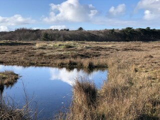 Naturschutzgebiet De Koog - camping Cooghereld Texel