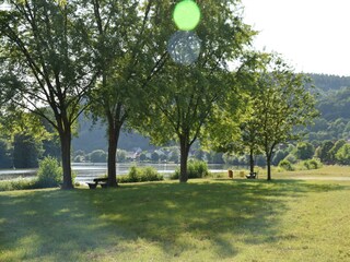 Main Radweg nach Lohr