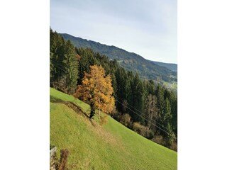 Gästezimmer Stummerberg Außenaufnahme 2