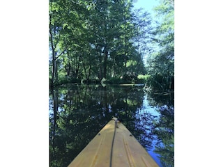 Paddeln auf der Spree