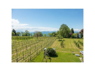 Vakantieappartement Nonnenhorn Omgeving 19