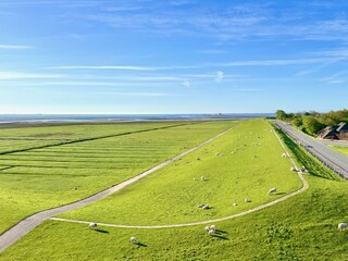 Holiday apartment Hallig Nordstrandischmoor Outdoor Recording 3