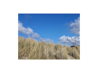 Ferienbutze Ameland