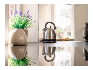 Casa per le vacanze Manslagt Caratteristiche 3