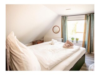 Casa per le vacanze Manslagt Caratteristiche 39