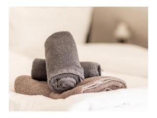 Vakantiehuis Manslagt Kenmerken 43