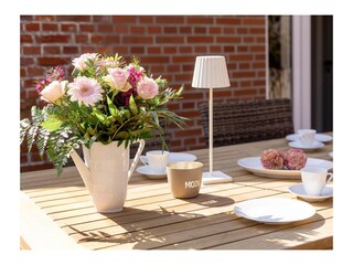 Vakantiehuis Manslagt Kenmerken 44