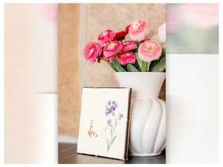 Vakantiehuis Grimersum Kenmerken 16