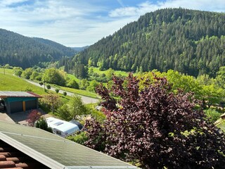 Klosterquelle, Aussicht Reichenbachtal, Groß