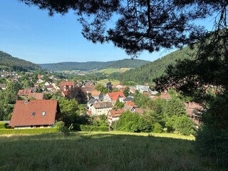 Kloster und Blick nach Baiersbronn