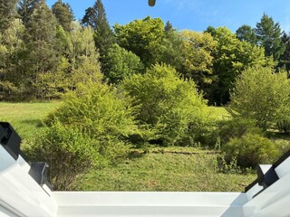 Klosterquelle, Aussicht zum Wald