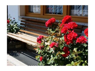 Unsere Blumen