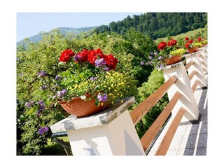 Terrasse mit Blumen