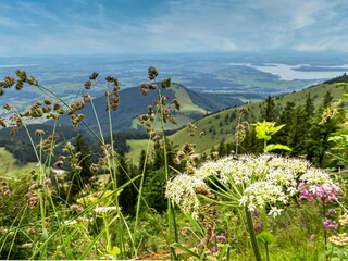 Bergblick auf den Chiemsee