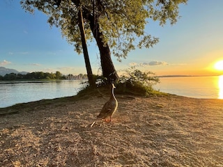 Chiemsee Übersee