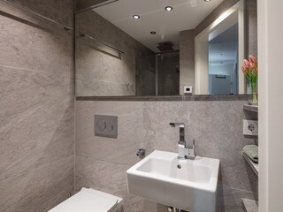 Holiday apartment Allensbach Features 15