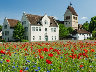 Weltkulturerbe-Insel Reichenau