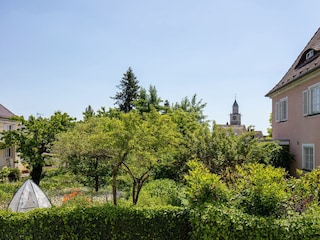 Aussicht ins Grüne
