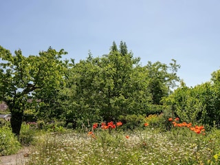 Aussicht ins Grüne
