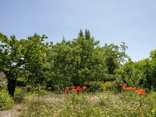 Vakantieappartement Überlingen Omgeving 23