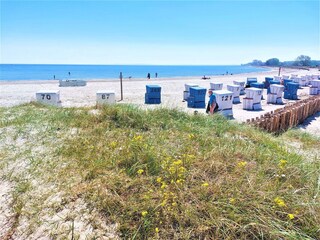 Hundestrand im Ostseebad Damp