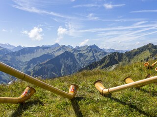 Appartement de vacances Oberstdorf Environnement 21